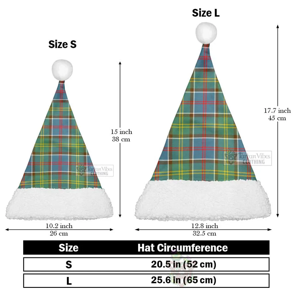 Barr Tartan Christmas Santa Hats