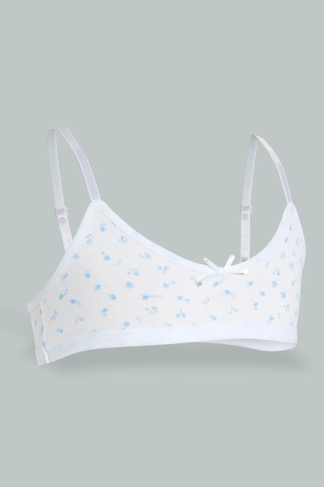 White And Blue Seamless Bra (Pack of 2)